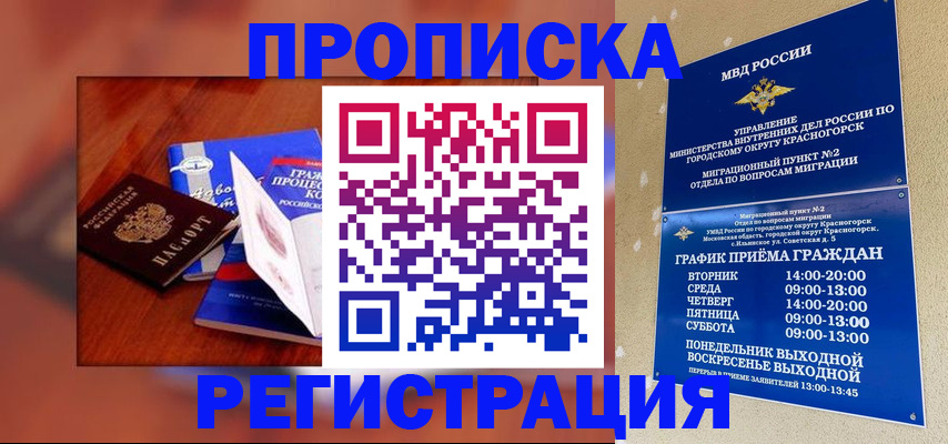 временная регистрация для школы в Щёлково